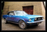 Mustang Cab4
